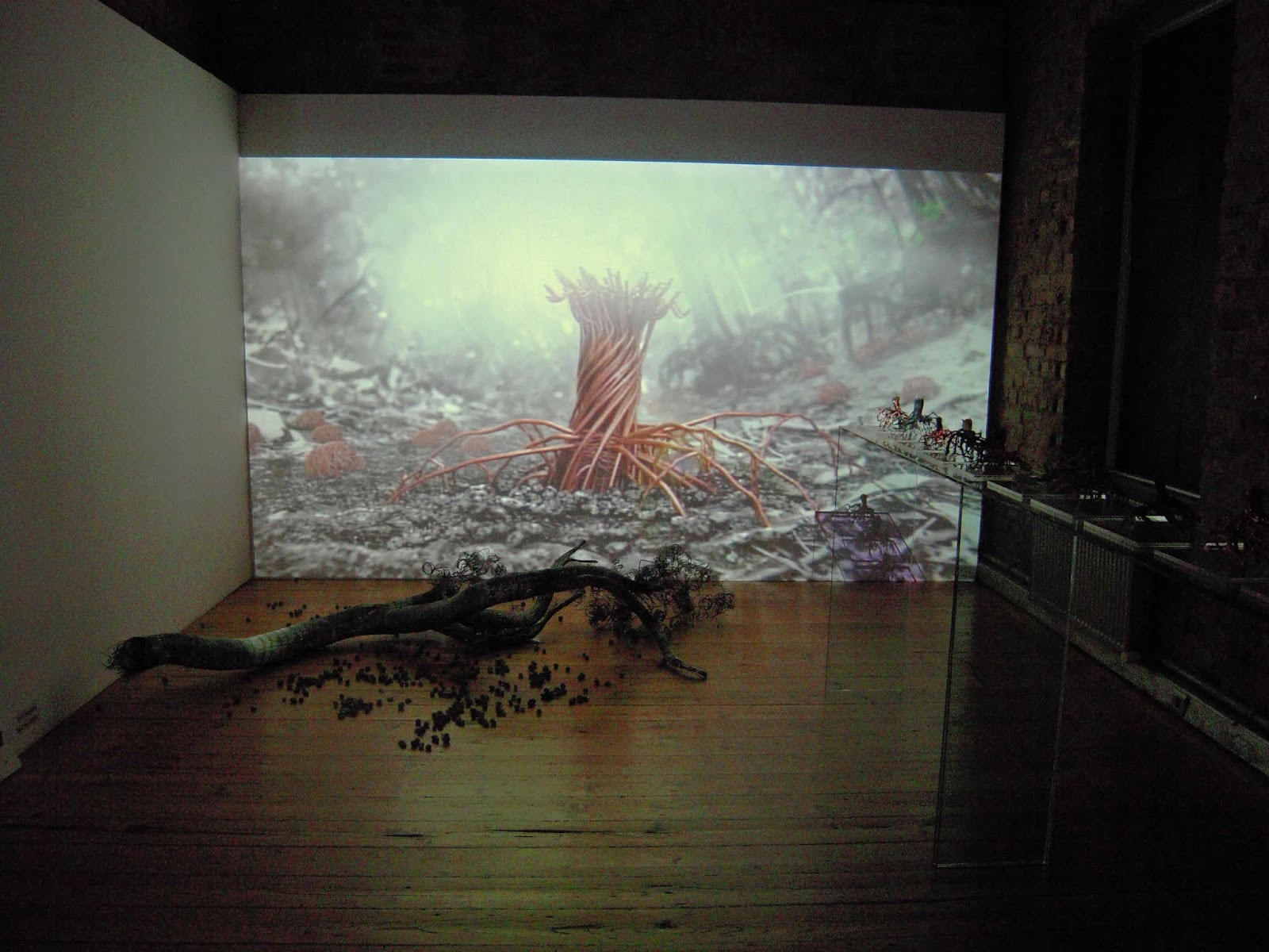 Suzy Hug Levy’den “Döküle Döküle” ve “Kökler”