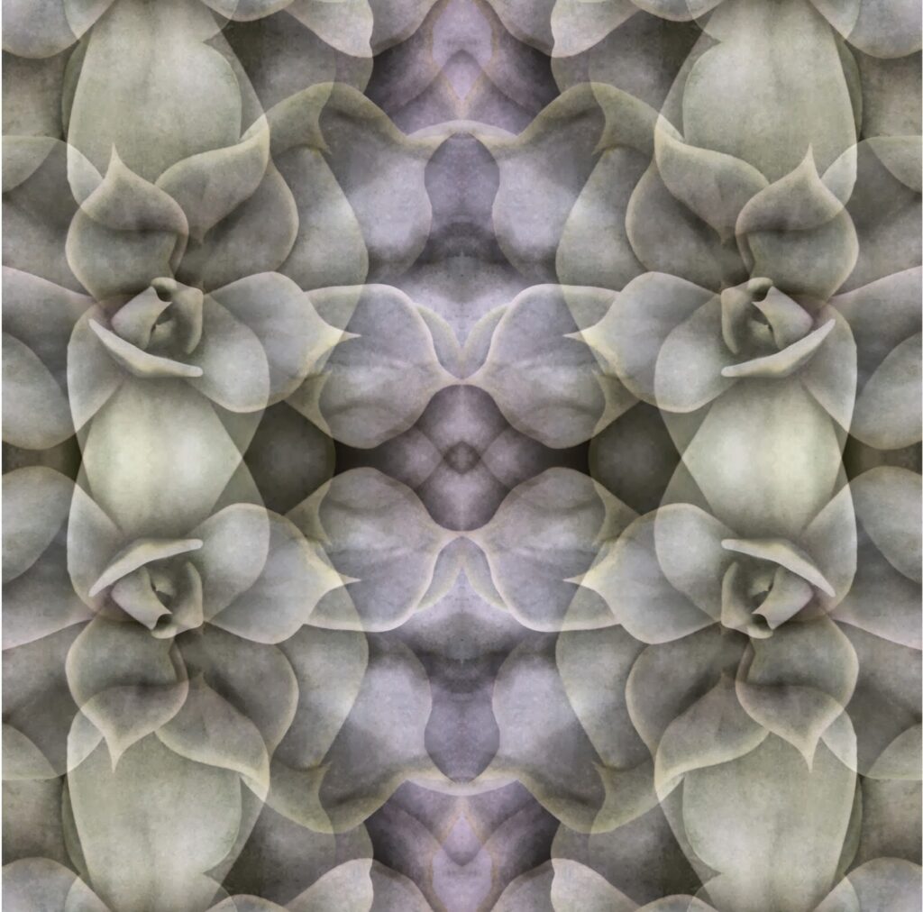 Hayal İncedoğan, “Leylak Bahçesi, No:1”, 2014, fotoğraf, 50×50 cm