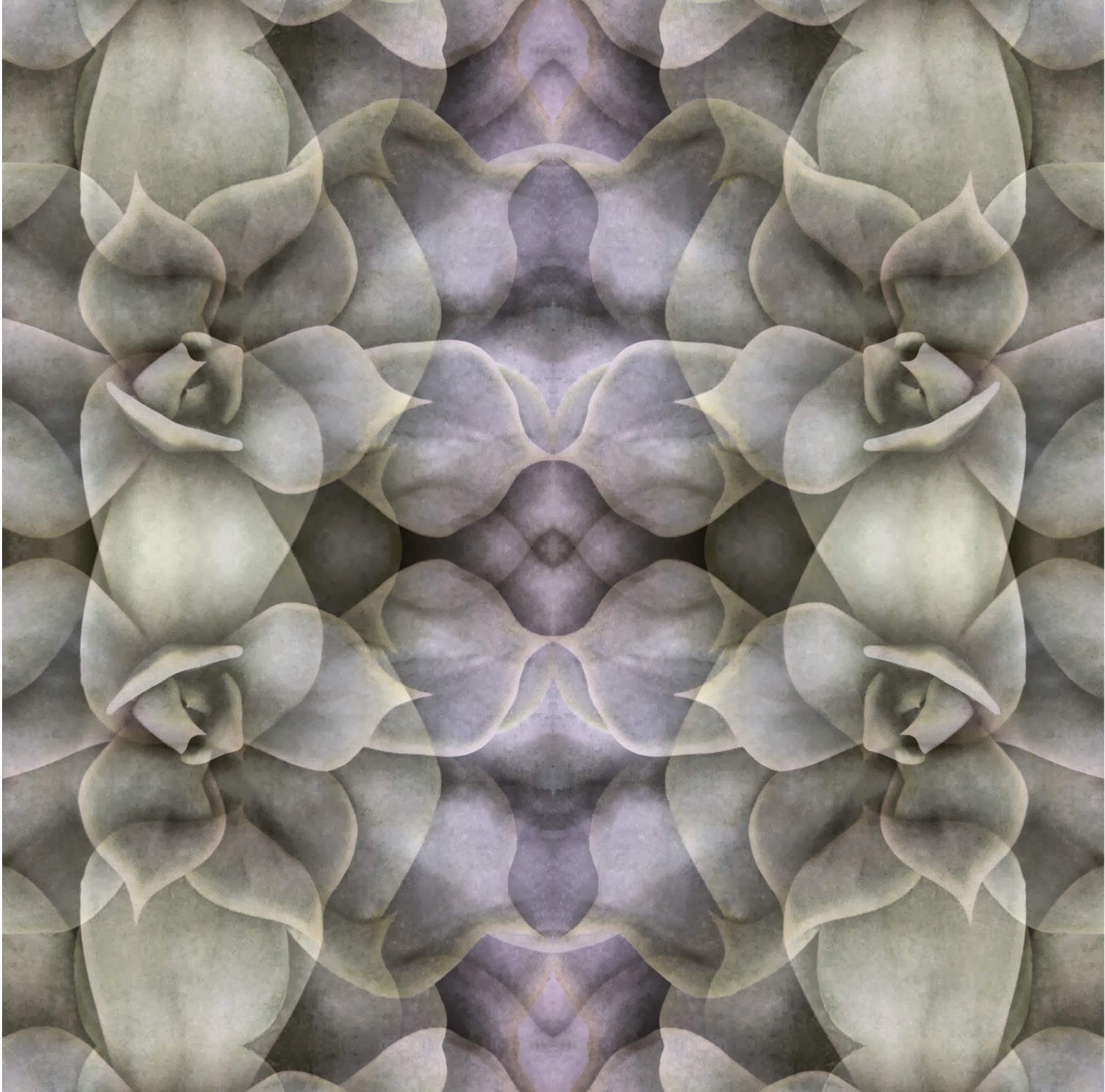 Hayal İncedoğan, “Leylak Bahçesi, No:1”, 2014, fotoğraf, 50×50 cm