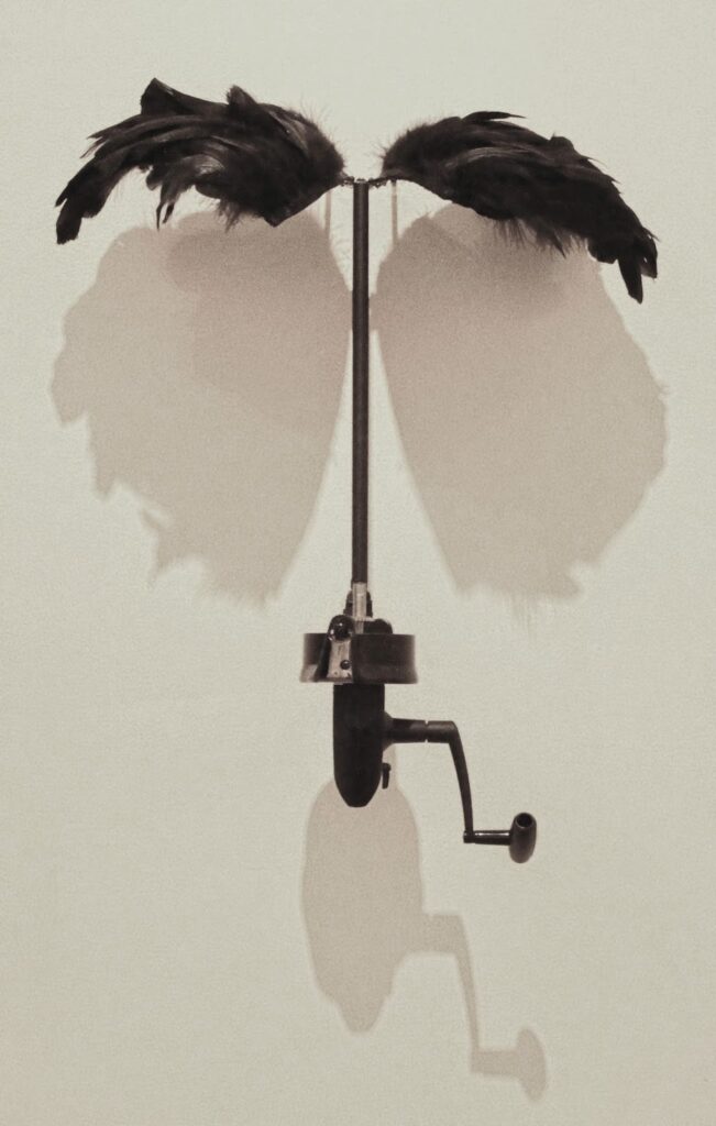 Teresa Henriques, “Wings / Kanatlar” 2011