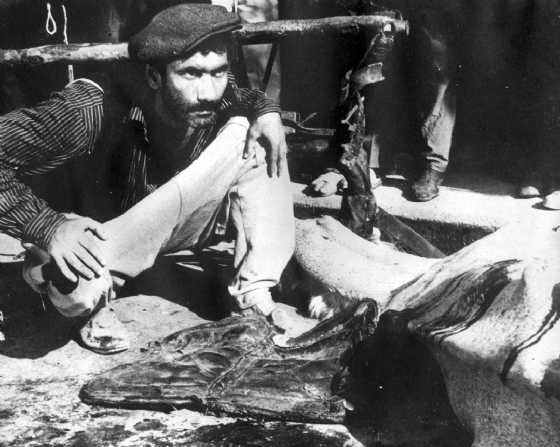 Yılmaz Güney Filmleri Dijital Ortama Aktarılıyor