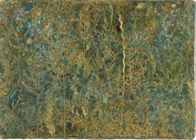 Tayfun Erdoğmuş’un “Natura” Sergisi Galeri Nev İstanbul’da