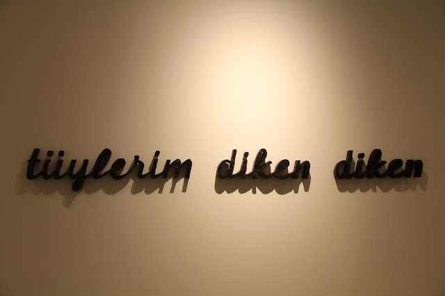 “Tüylerim Diken Diken”: Bir Sanatçının Çığlığı