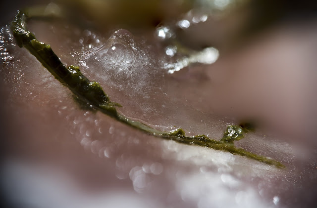 Hücum ve Ricat: Evin Sanat Galerisi’den İlk Fotoğraf Sergisi