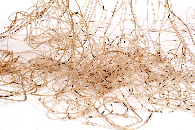 2-Merve Karakoç, “Otoportre” (Detay).