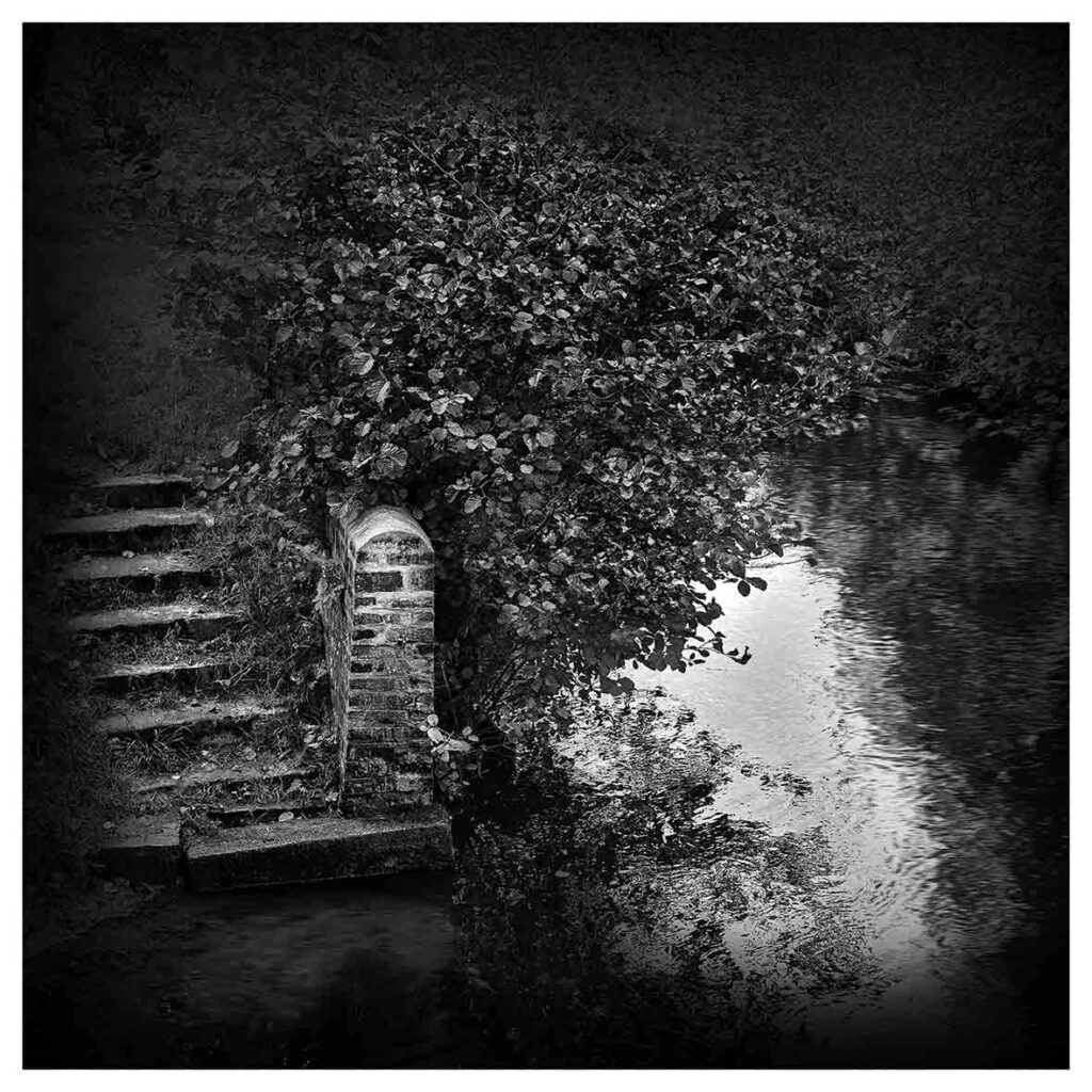 Mehmet Kısmet, İsimsiz 5, gümüş jelatin, 50x50 cm.