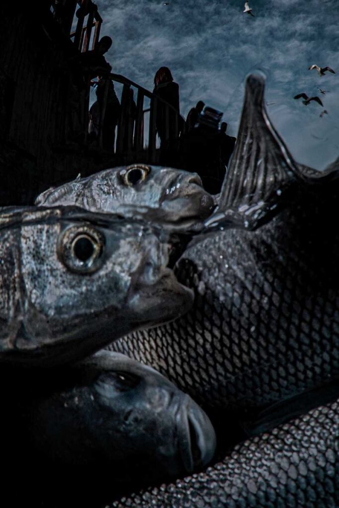 Saygun Dura, Arşivsel Pigment Baskı, 110x75 cm., Edisyon 2/6, Van 2019.