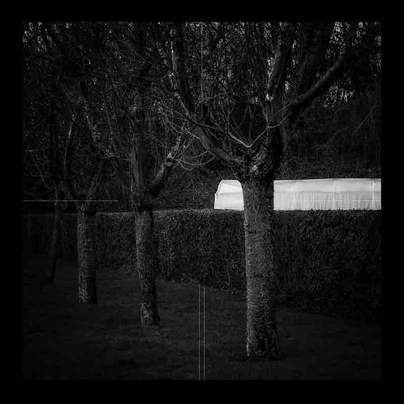 Ahmet Elhan, Loş Bahçe 030, 2019, Pigment Ink Print, 40 x 40 cm, Unıque ed.