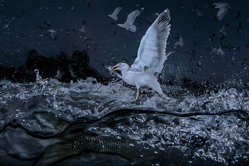 Saygun Dura, Arşivsel Pigment Baskı, 75x110 cm., Edisyon 2/6, Van 2019.