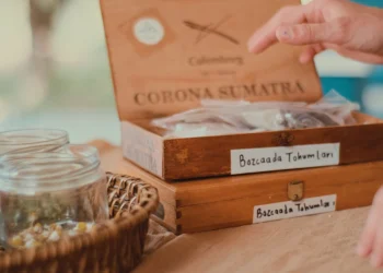 Bozcaada Gathering’den Kamusal Alan Sergisi: “Link”