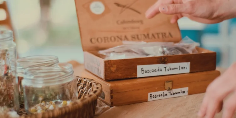 Bozcaada Gathering’den Kamusal Alan Sergisi: “Link”