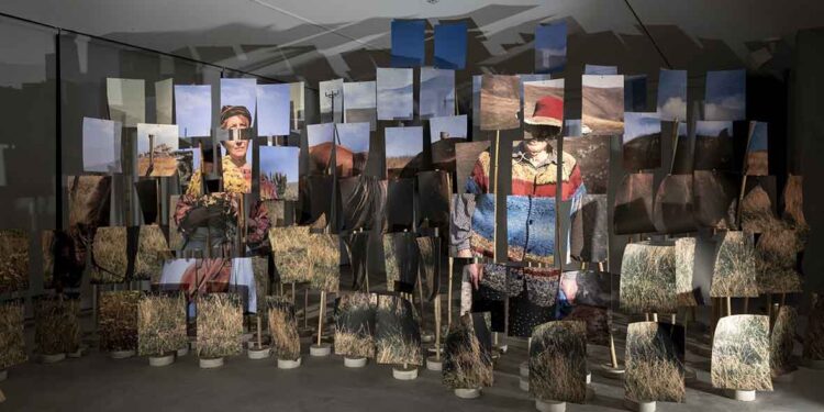 Cansu Yıldıran’dan Kuşmer’e Bir Bakış: “Mülksüzler”