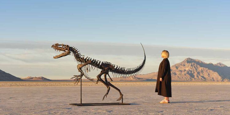 Mars Meteoritleri ve Genç Ceratosaurus İskeleti Rekor Kırdı