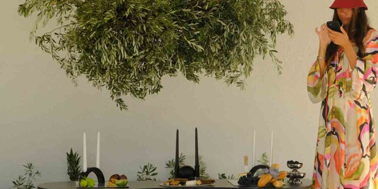 Grob Milan Koleksiyonu