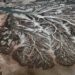 Edward Burtynsky, Colorado Nehri Deltası #1, San Felipe yakınları, Baja, Meksika, 2012 Sanatçının ve Borusan Çağdaş Sanat Koleksiyonu’nun izniyle.