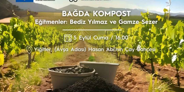 Marmara, Avşa ve Ekinlik Adalarında Kültür Sanat Buluşmaları