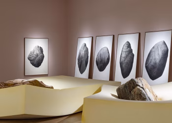 Ahmet Doğu İpek, Construction Regime SP, 2019, Sanatçının izniyle, Fotoğraf: Emre Başak.