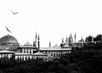 Eren İönü, Topkapı Sarayı, 2011.
